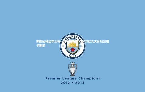 金年会官网：斯图加特坚守立场，沃尔特马德9000万欧元天价加盟纽卡斯尔