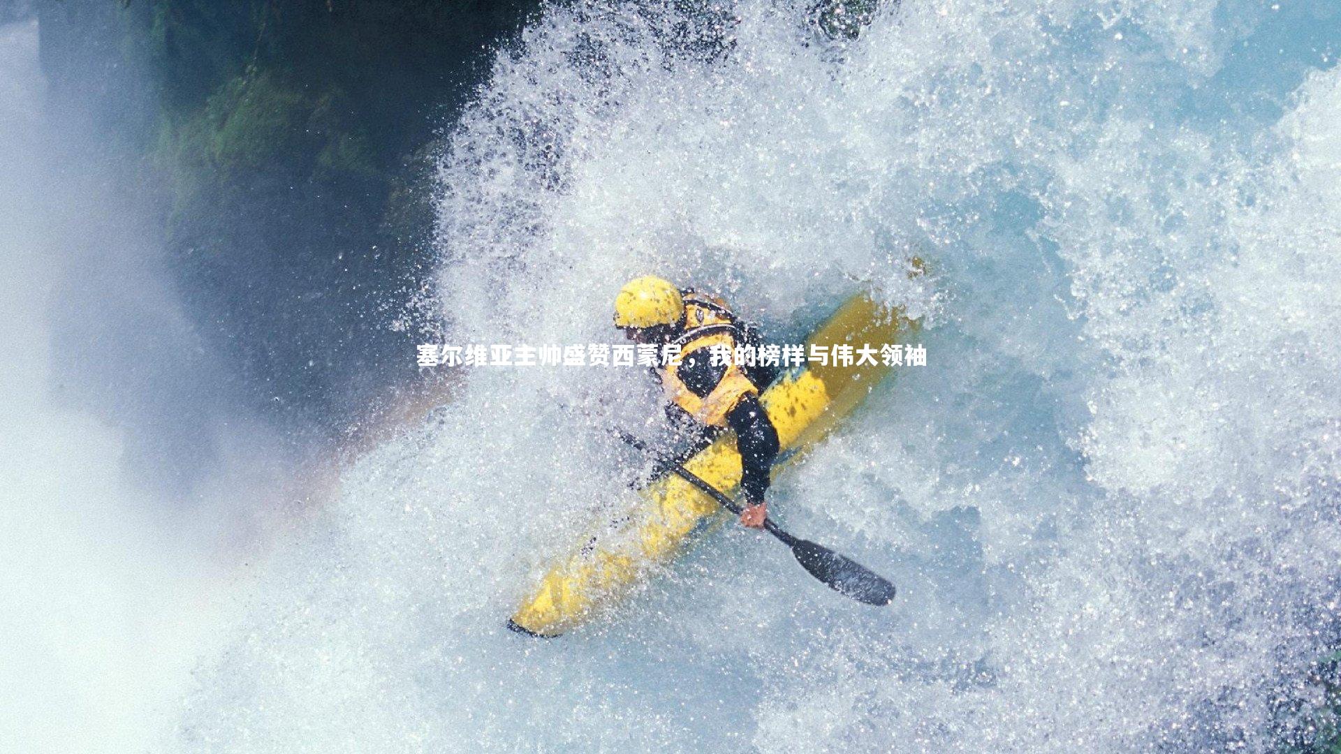 塞尔维亚主帅盛赞西蒙尼，我的榜样与伟大领袖