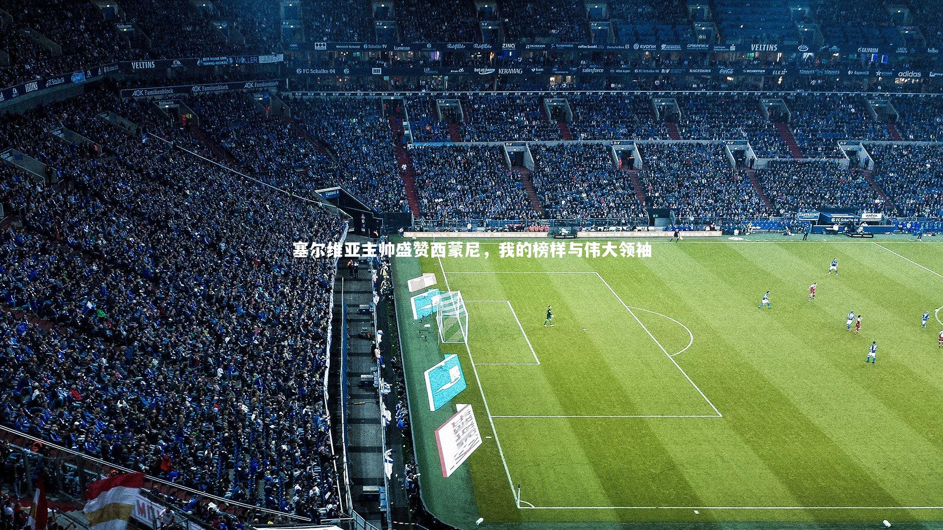 塞尔维亚主帅盛赞西蒙尼，我的榜样与伟大领袖